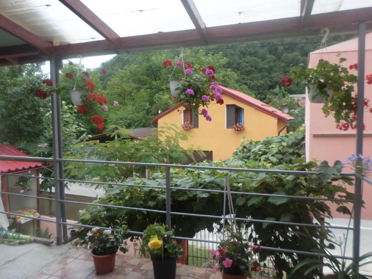 Casa Iza Apartment Baile Herculane Exterior photo
