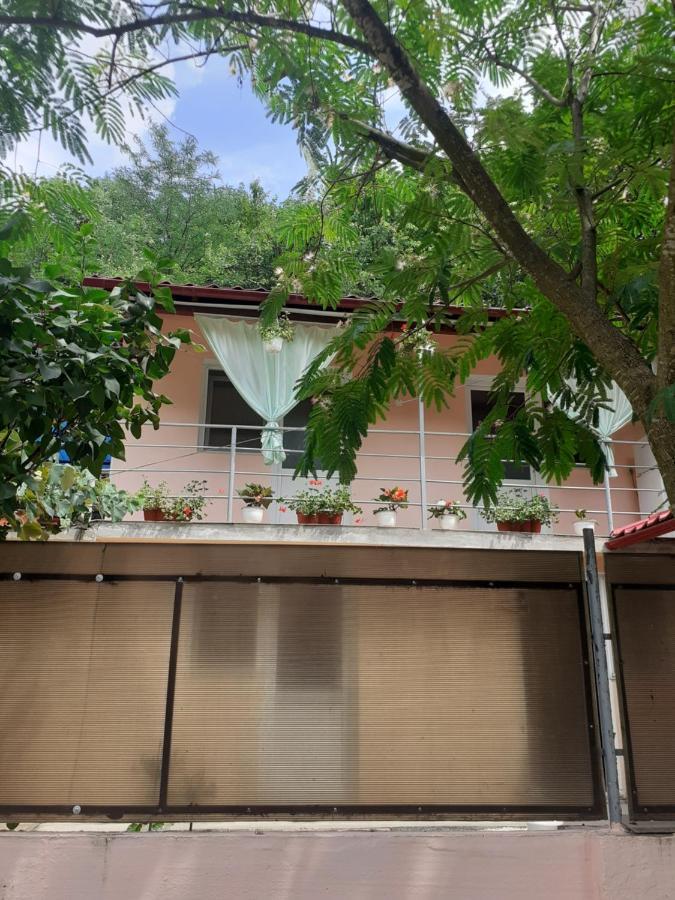 Casa Iza Apartment Baile Herculane Exterior photo
