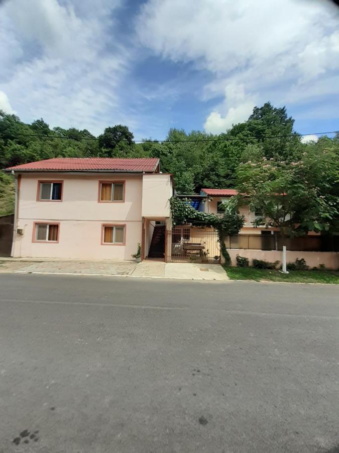 Casa Iza Apartment Baile Herculane Exterior photo